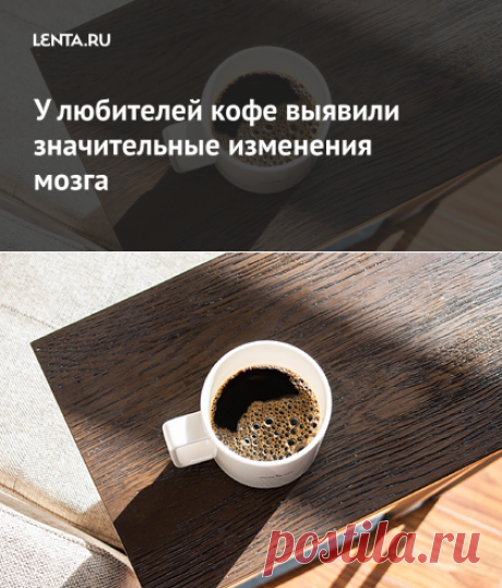 У любителей кофе выявили значительные изменения мозга: Наука: Наука и техника: Lenta.ru