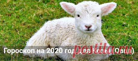 Гороскоп на 2020 год для Козы (Овца): мужчины и женщины