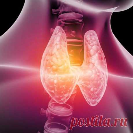 Признаки и симптомы дефицита йода в организме
Йод является ключом к здоровью щитовидной железы и эффективному метаболизму, и даже составляет значительную часть ее молекулы. Гипотиреоз гораздо более распространен, чем считалось ранее. Гормоны щитовидной железы используются каждой клеткой вашего организма для регулирования метаболизма и веса тела, контролируя сжигание жира для получения энергии и...
Читай пост далее на сайте. Жми ⏫ссылку выше