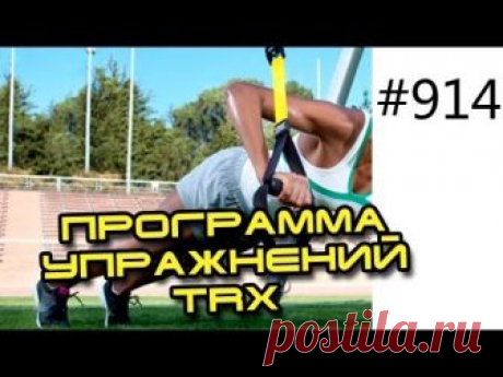 Петли TRX — лучшие упражнения и программы тренировок