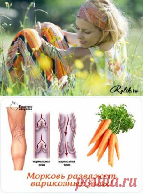 Морковь развяжет варикозные узлы! | Женский журнал