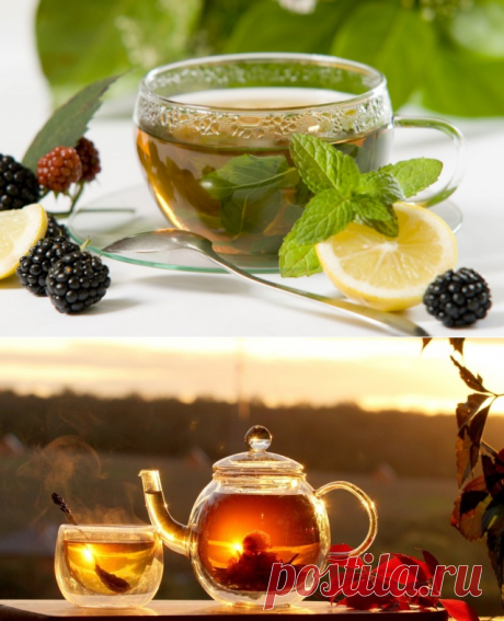 Учимся выбирать чай: от простой классики до экзотических сортов — Полезные советы