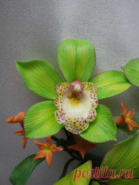 Cymbidium Orchid | Beautiful Flowers around the world