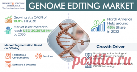 The total value of the global Genome Editing Market was USD 5,412.9 million in 2022, and it will rise at a growth rate of above 18% shortly, reaching USD 20,397.8 million by 2030, according to P&amp;S Intelligence.