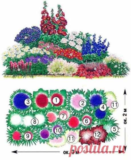 КЛУМБА С МНОГОЛЕТНИМИ ЦВЕТАМИ ДЛЯ СРЕЗКИ!