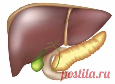 Как очистить печень в домашних условиях: натуральное средство