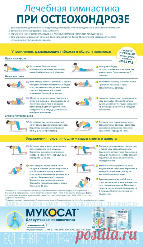 Лечебная гимнастика при остеохондрозе поясничного отдела позвоночника