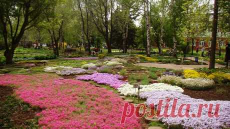 Донецкий ботанический сад благоухает