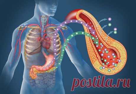 10 продуктов, в которые влюблена поджелудочная железа! Вот чем побаловать этот капризный орган…