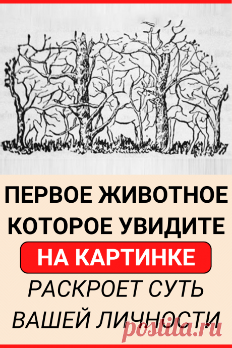 Первое животное, которое увидите на картинке, раскроет суть вашей личности
#тест #интересный_тест #психология #самопознание #саморазвитие #психологический_тест #интересные_тесты