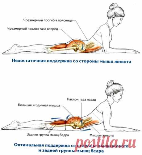 Королевская осанка и здоровая спина с помощью одного единственного упражнения!