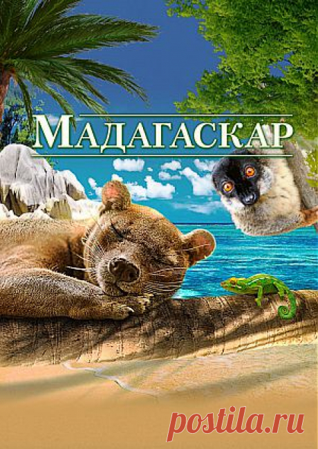 Фильм &quot;Мадагаскар&quot; (&quot;Madagascar&quot;) - смотреть легально и бесплатно онлайн на MEGOGO.NET