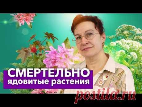 10 САМЫХ ОПАСНЫХ РАСТЕНИЙ на дачном участке! Красивые, но ядовитые цветы