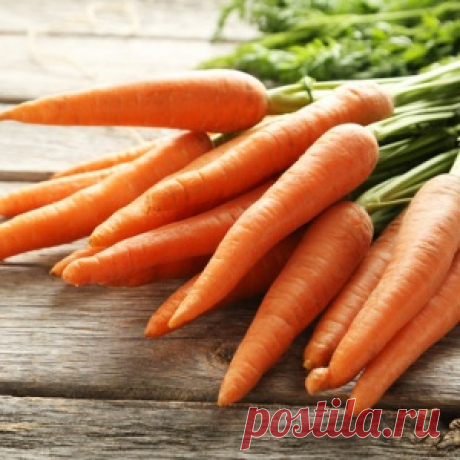 15 классных блюд, которые вы сможете приготовить из обычной моркови