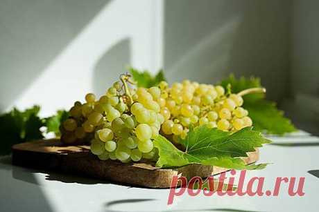 Употребление винограда улучшает зрение у пожилых людей | Pinreg.Ru