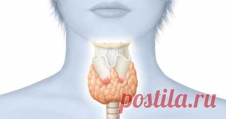 Щитовидная железа и 19 признаков, что она больна