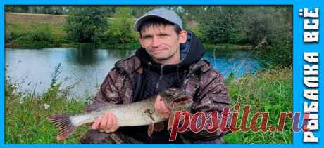 Как поймать щуку на пруду или озере - fishing-all.ru