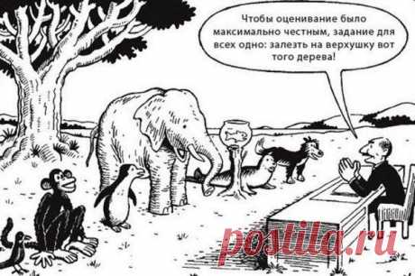 Вся суть системы образования в одной картинке

Каждый — гениален. Но если вы будете судить рыбу по ее способности лазать по деревьям, она всю жизнь проживет с верой в свою глупость.

© Альберт Эйнштейн.