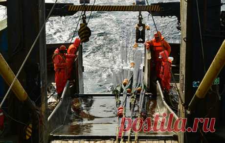 Пожар на траулере Sunfish в Охотском море ликвидировали силами экипажа. Угрозы жизни экипажа и жизнеспособности судна нет