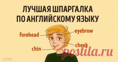 Лучшая шпаргалка по английскому языку Английский – самый популярный язык в мире. На нем, согласно статистике, разговаривает каждый двадцатый житель нашей планеты. Сегодня существует множество различных методик изучения языков, однако какую бы из них вы ни выбрали, вам всегда помогут старые добрые шпаргалки.