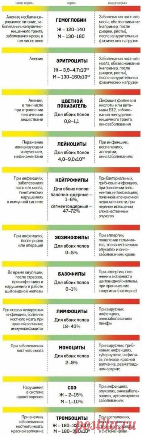 О чем говорит анализ крови человека