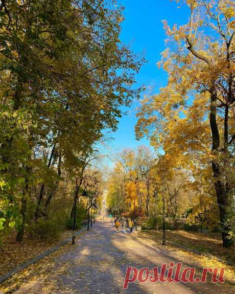 Неповторний Львів  в любу пору року.