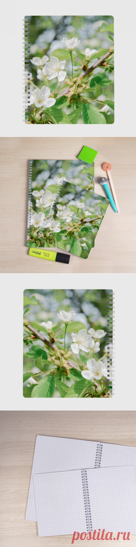 Тетрадь Цветущая ветка вишни, фото - купить по цене 390 руб в интернет-магазине Всемайки, арт 3652995