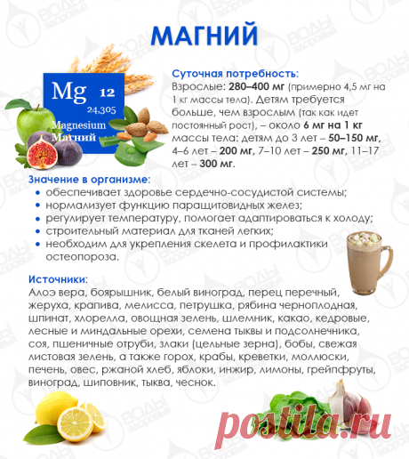 Знакомимся с макро- и микроэлементами: магний