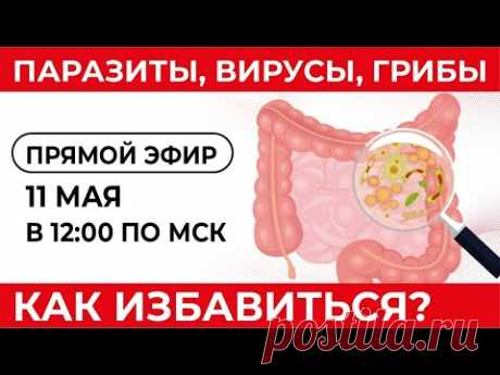 ПАРАЗИТЫ, ВИРУСЫ, ГРИБЫ. Как избавиться?