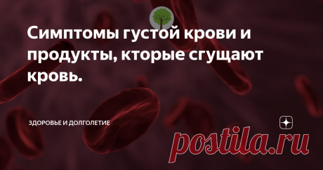 Симптомы густой крови и продукты, кторые сгущают кровь. Кровь – это одно из самых важных для нашего организма. Абсолютно все в организме питается кровью, поэтому хорошее кровообращение это очень важно, это залог здоровья. Кровь — это особая соединительная ткань организма человека, имеющая жидкую форму. Она влияет на то, как будут функционировать все органы и системы человека.
Так, какие же продукты сгущают кровь?
Употребление некоторых продуктов и