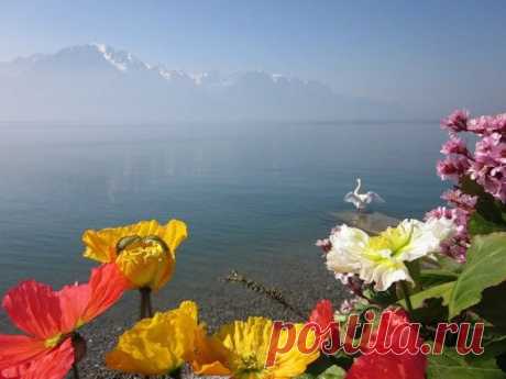 Женевское озеро Леман