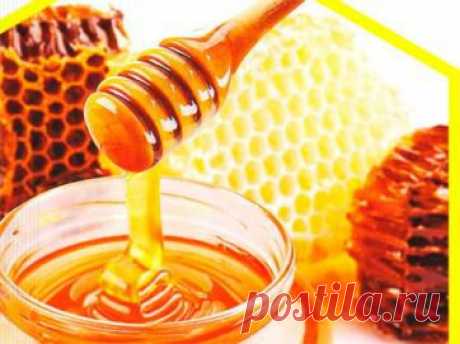 Мед и сахарный диабет: МОЖНО или НЕЛЬЗЯ? | Zenslim.ru