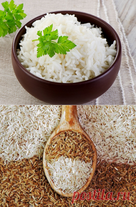 Кулинарные секреты: как правильно готовить разные виды риса - Досуг - Кулинария на Joinfo.ua