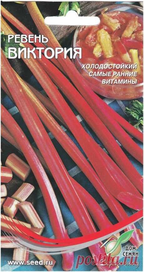 Ревень Виктория, 15 семян — купить в интернет-магазине по низкой цене на Яндекс Маркете