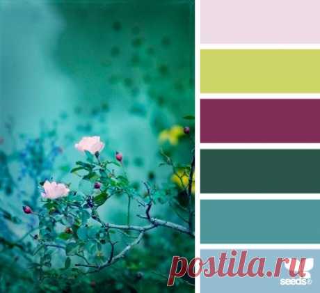 Design Seeds® | for all who ❤ color | dusk bloom