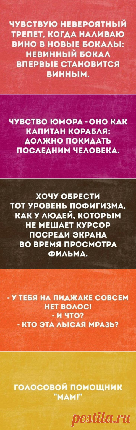 Несколько ироничных остроумных фразочек в картинках для отличного настроения