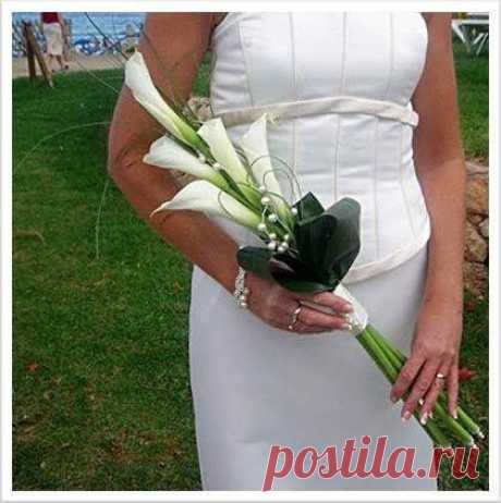 свадебные букеты: 99 тис. зображень знайдено в Яндекс.Зображеннях
