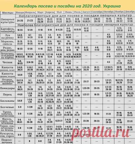 Лунный посевной календарь 2020, Украина. Садоводу, огороднику на заметку | Дача