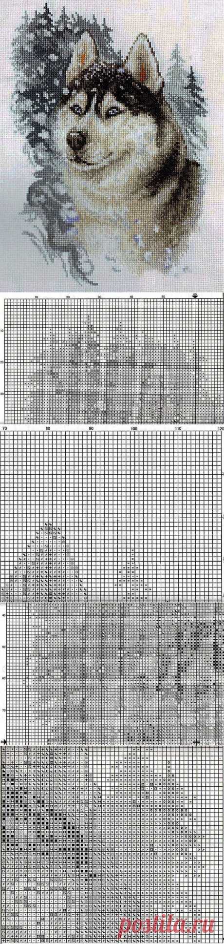 Stitch wolves scheme. Cross stitch schemes without registering. | Laboratory household