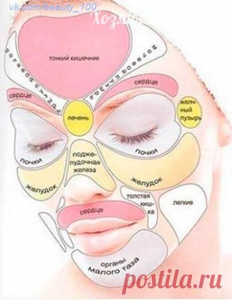 Краткое толкование заболеваний, которые можно определить по коже лица ● | Хозяин и Хозяюшка