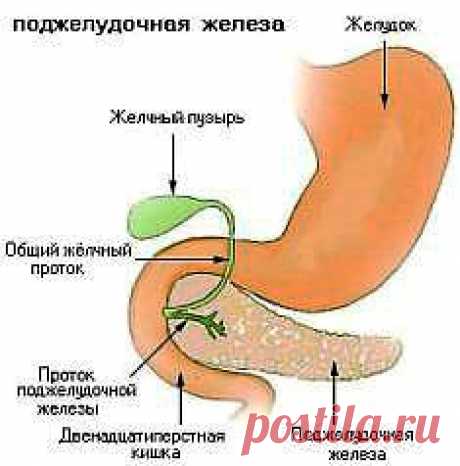 О том как правильно пить воду. И главное зачем так делать?.