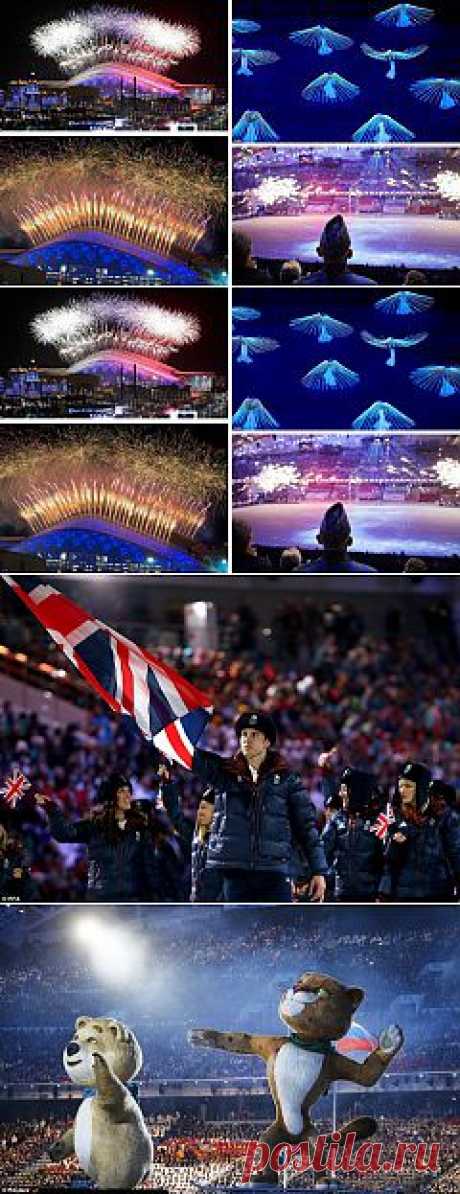 Церемония открытия Зимней Олимпиады в Сочи! | ЛЮБИМЫЕ ФОТО