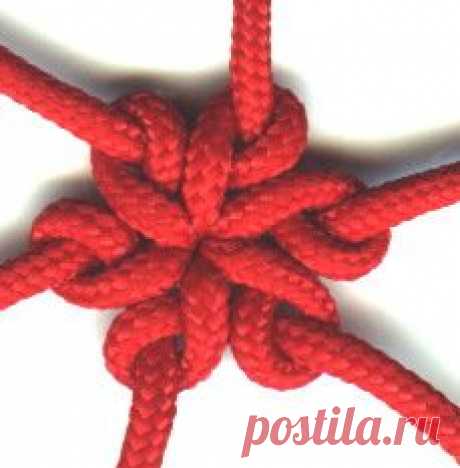 Star knot