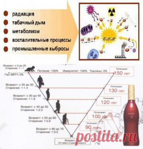 Зашлаковка, токсины, интоксикация