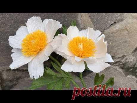 ABC TV | How To Make 'CLAIRE DE LUNE' Peony Flower With Crepe Paper - Craft Tutorial