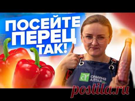 ПОСЕВ ПЕРЦА! Эксперимент