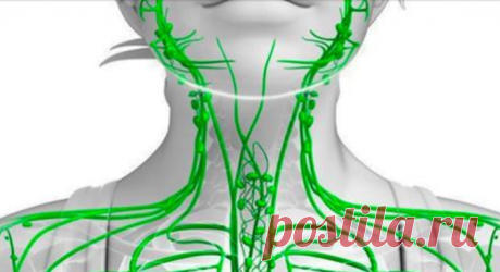 Если у вас есть эти 7 симптомов, то ваша лимфа забита токсинами! Вот 9 способов очистки! (видео) — Полезные советы