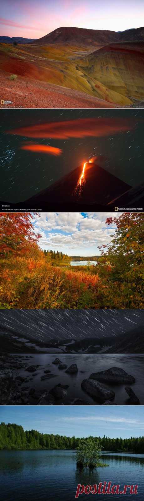 National Geographic Россия: National Geographic Россия | Постила.ru