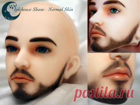 BJD Face Up - Iplehouse Shane Face up by me on an Iplehouse SID Shane in Normal Skin. He was fun to work on, the beard took forever but I think I've figured out pretty well on how to do facial hair now on a doll. It's tough I t...