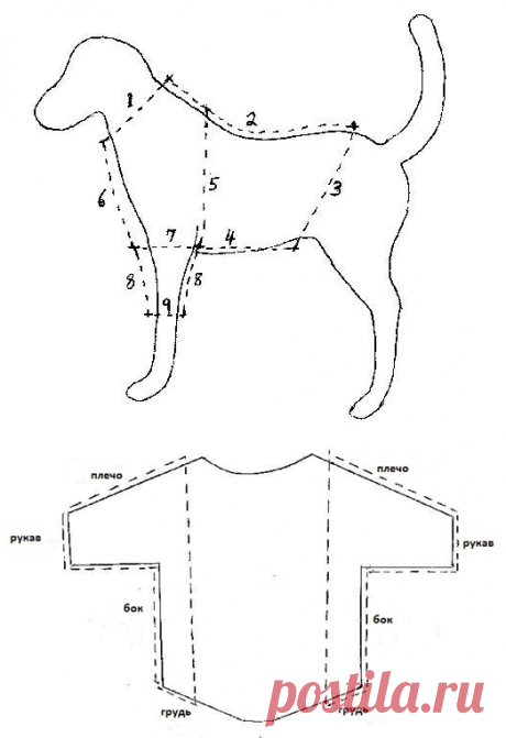 Как сделать выкройки одежды для собак своими руками: снимаем выкройку с собаки